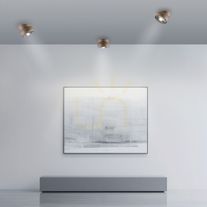 PURE MOVE 6235-97 Taklampa, brun, 1xLED 2 PURE MOVE 6235-97 Taklampa, brun, 1xLED small 2
