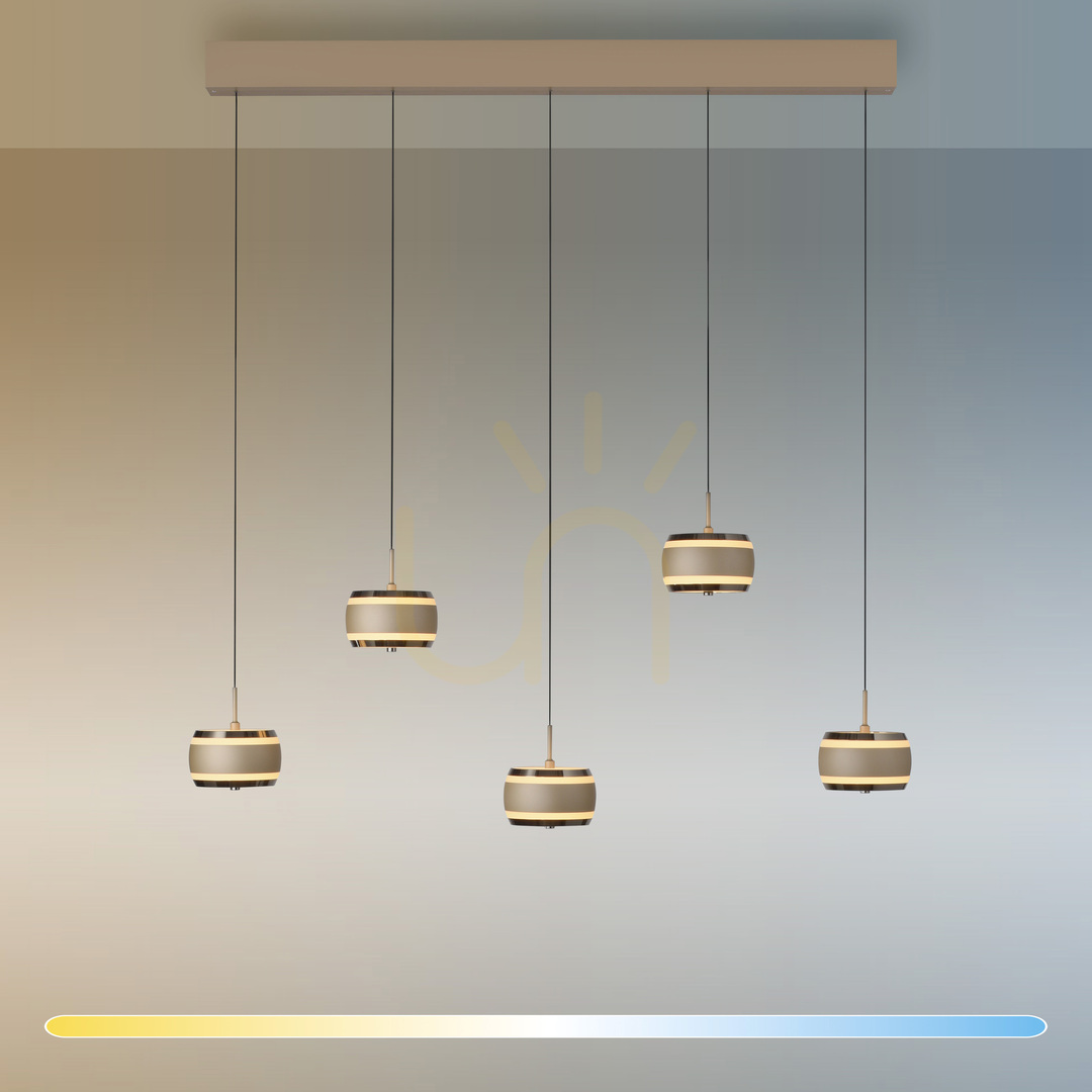 Förhandsvisning PURE FALLING RINGS 2504-97 Brunt 5xLED-pendelljus PURE FALLING RINGS 2504-97 Brunt 5xLED-pendelljus
