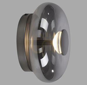 Schöner Wohnen POSH 15696-15 LED-vägglampa och plafond, grå, rökfärgat glas, Ø22 cm small 0