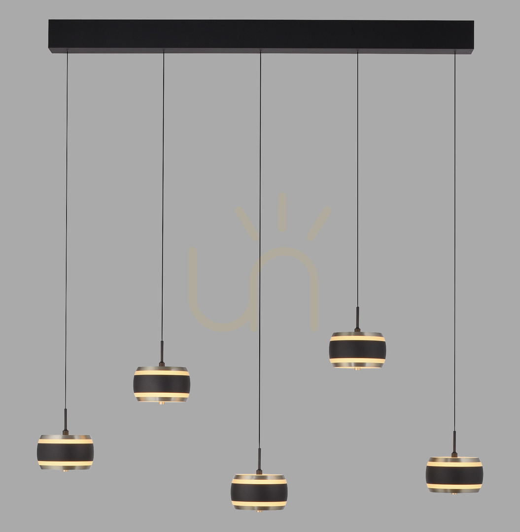 Kontrollera PURE FALLING RINGS 2504-18 Svart 5xLED-pendellampa PURE FALLING RINGS 2504-18 Svart 5xLED-pendellampa