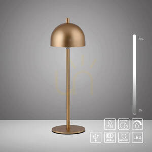 BELLIS 19244-12 Bordslampa, guld, 1xLED small 1