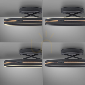 PURE LOOP 6552-18 Svart taklampa, 2xLED small 11