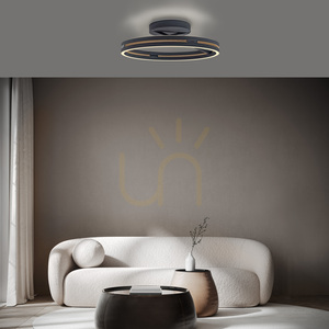 PURE LOOP 6552-18 Svart taklampa, 2xLED small 9