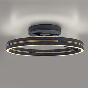 PURE LOOP 6552-18 Svart taklampa, 2xLED small 0