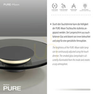 PURE MOON 4594-15 bordslampa, grå, 1xLED small 9