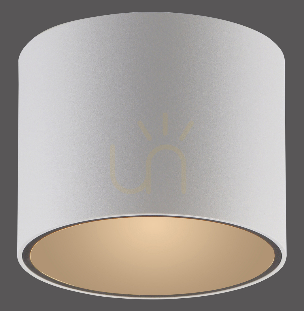 Kontrollera PURE POINT 6761-16 Vit taklampa, 1xLED PURE POINT 6761-16 Vit taklampa, 1xLED