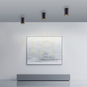 PURE POINT 6749-18 Taklampa, svart, 1xLED small 2