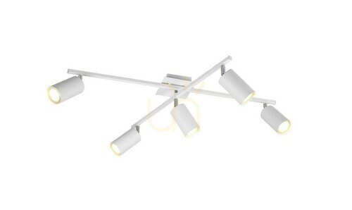 Kontrollera Trio MARLEY Plafond 612400501