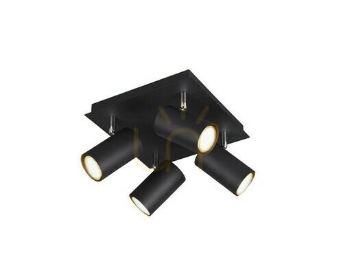 Kontrollera Trio MARLEY Plafond 802430432