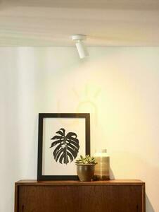 Spotlight Lucide XYRUS vit LED dimbar GU10 9 cm 23954/06/31 small 2