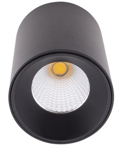 Plafond Max Light CHIP C0163 svart LED 8W 4000K Ø7 cm small 1