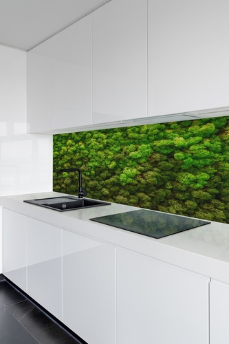 Kontrollera Fototapet Moss, ren som skrapar på väggen, gröna väggar hemma, dekoration
